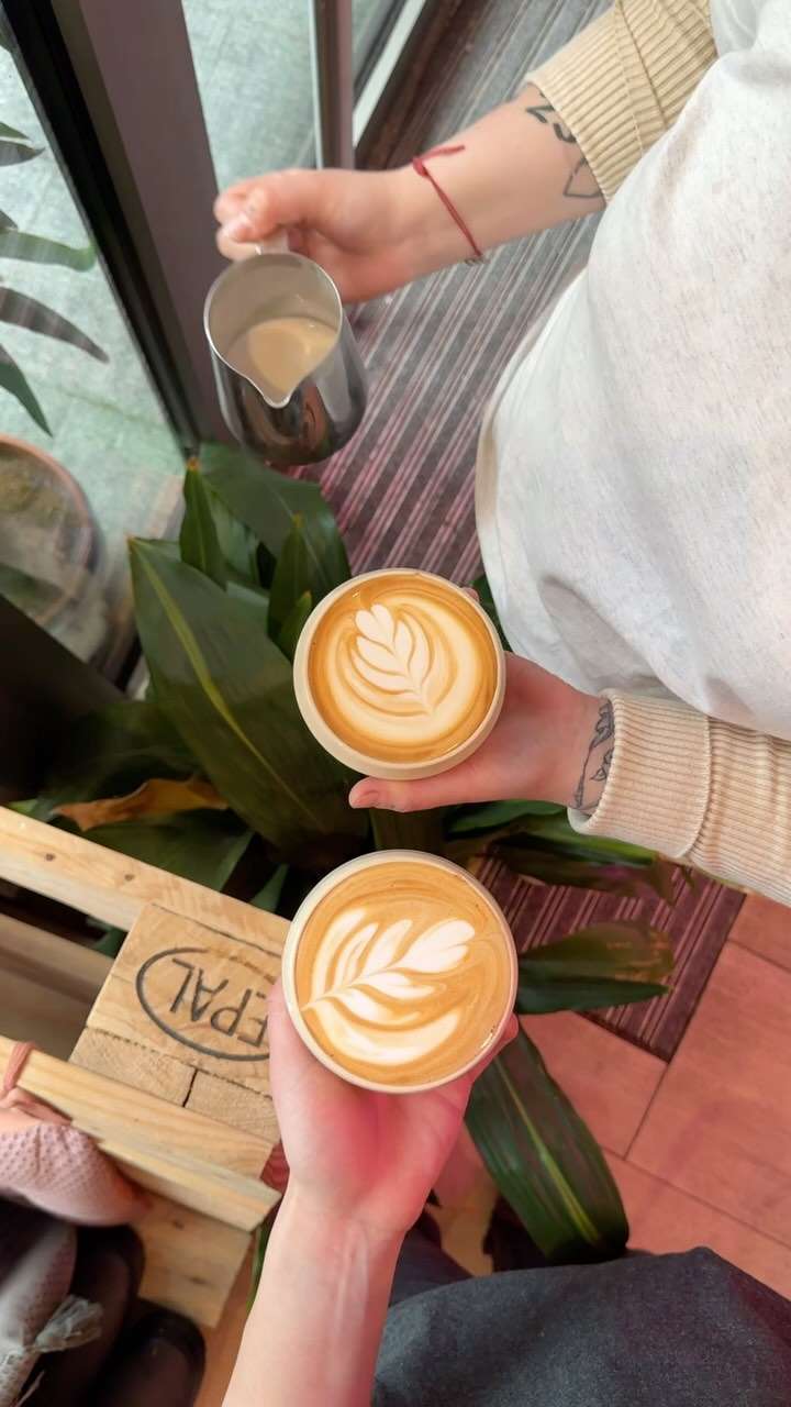 Cafeterías de especialidad en Andorra 483633052 17962698464893762 1694019485975149956 n